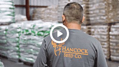 Hancock seed company - Additional information. Worldwide supplier of Lawn, Pasture, Turf and Wildlife Seed.